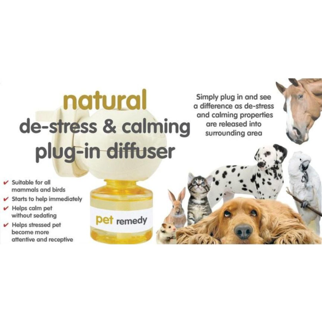 info about the diffuser