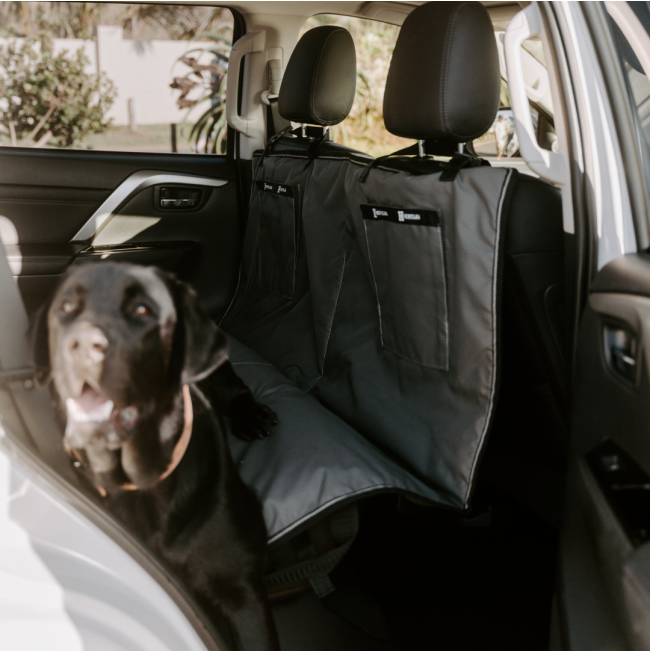 dog laying on cover in car