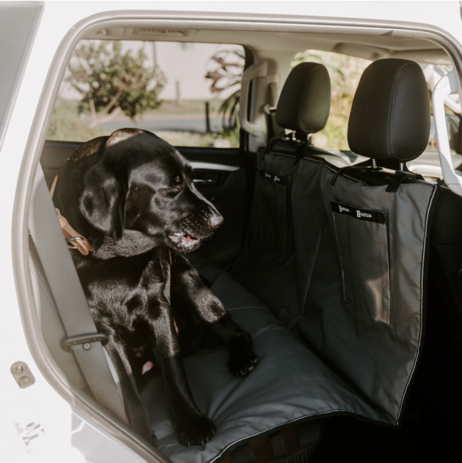 dog sitting on cover in car