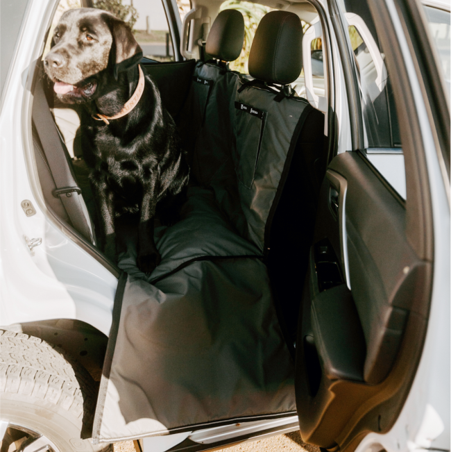 dog sitting on open cover in car