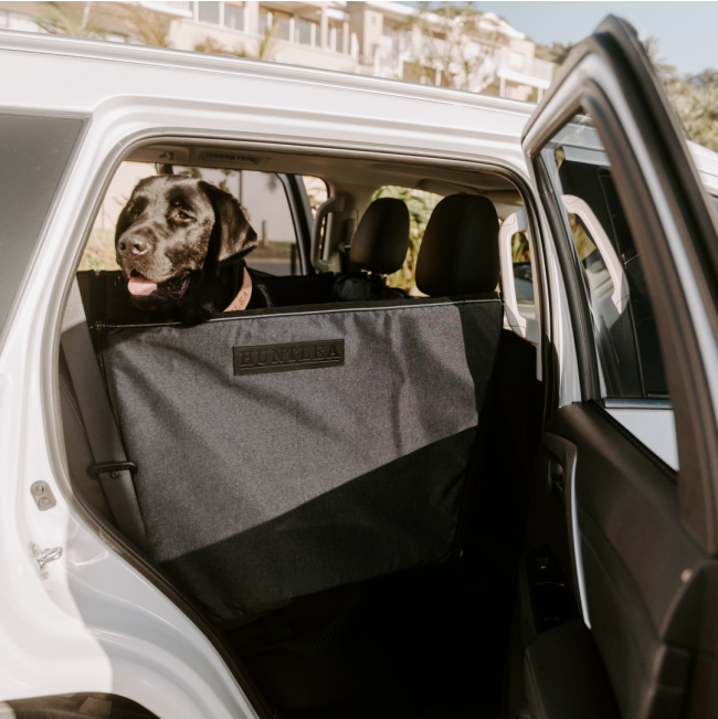 dog sitting in car on closed cover