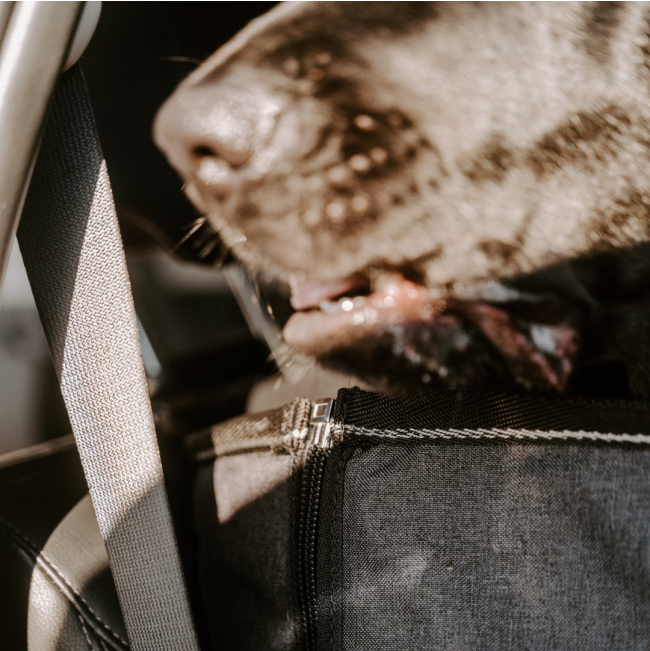 rear straps on back headrest