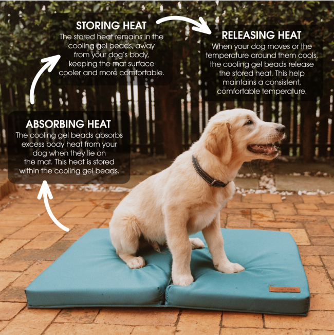 how it works to cool your dog