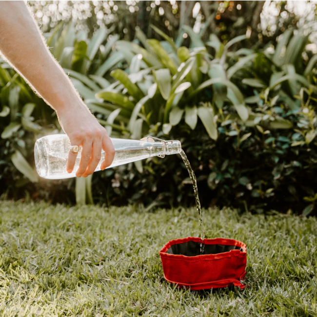 pouring water into a red bowl