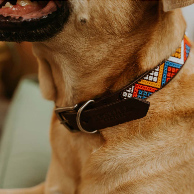 image of dogs neck wearing a brown collar