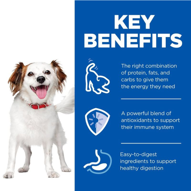 key benefits of the adult mousse
