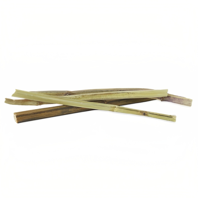Rosewood Naturals Catnip Sticks Cat Treats