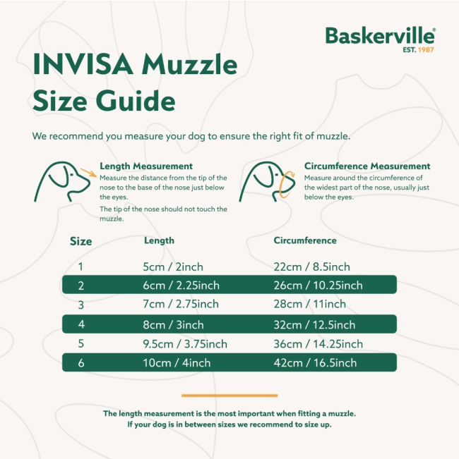 sizing guide