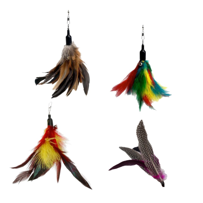 guinea fowl + flying fox + phoenix + rainbow attachments