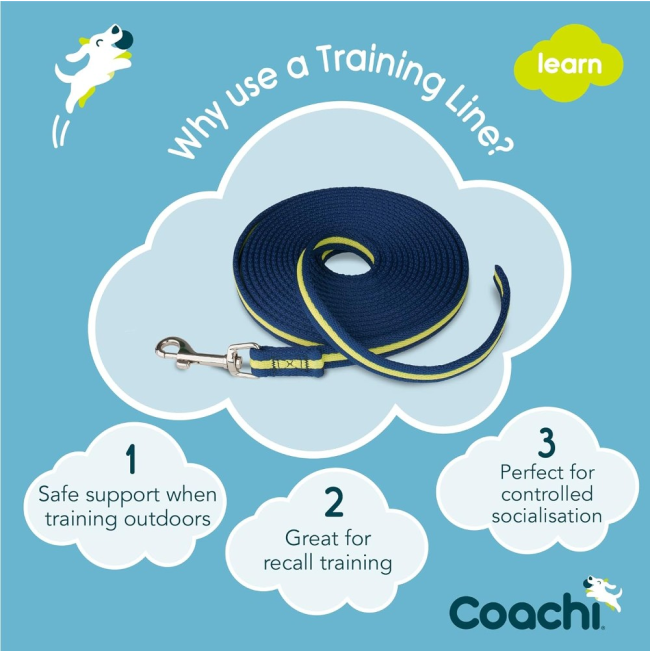 benefits of using a training line