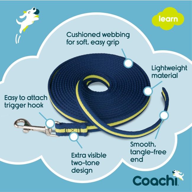 features of the training line