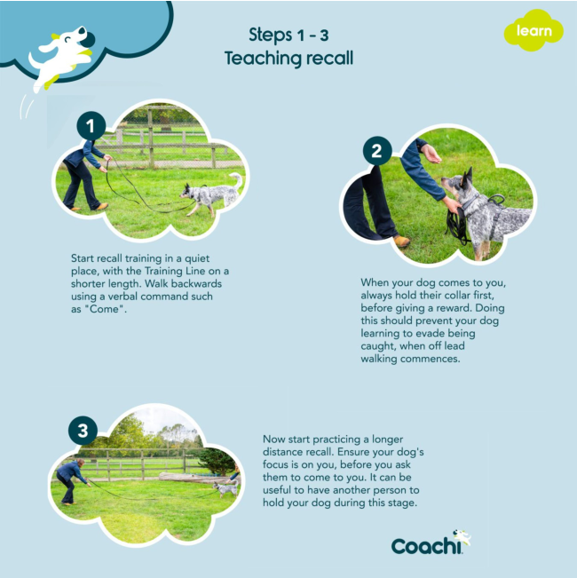 steps for teachign a dog recall 1 - 3