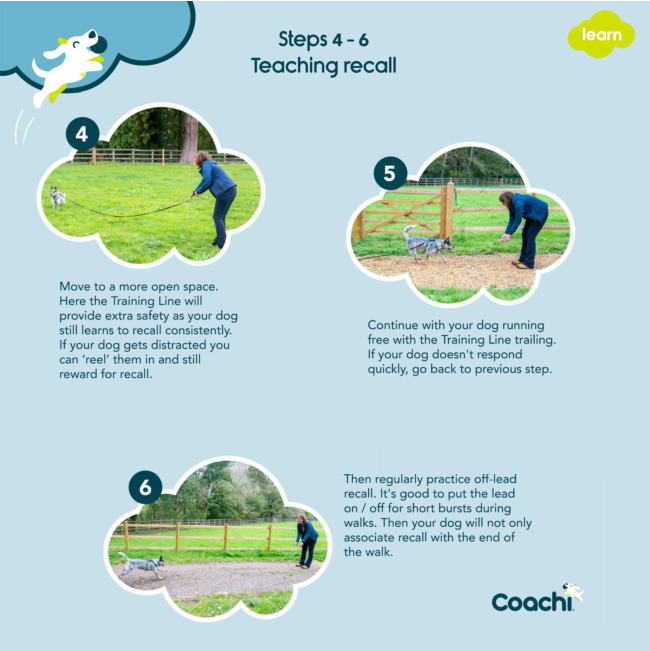 steps for teachign a dog recall 4 - 6