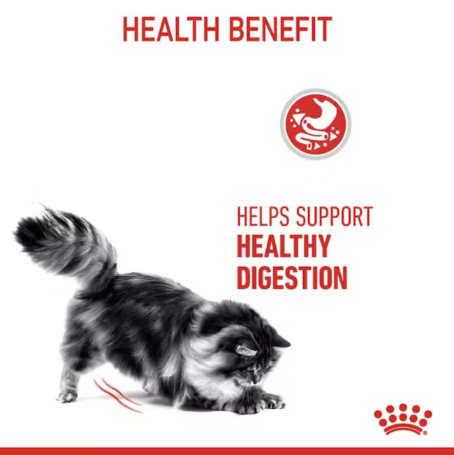 helps support healthy digestion