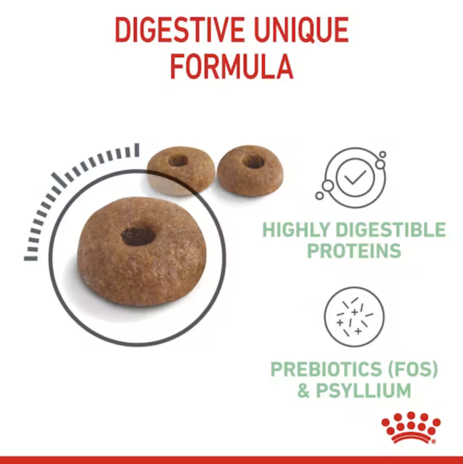 kibble look and size