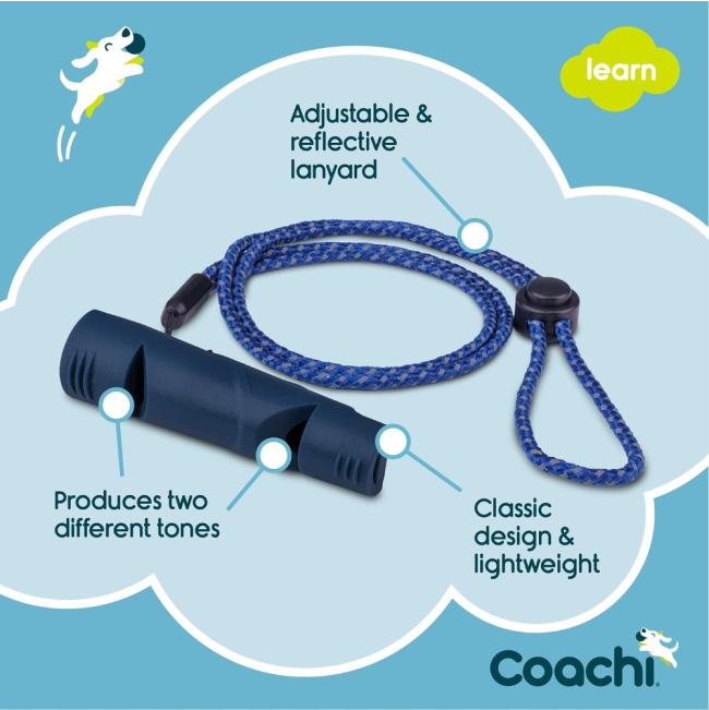 3 features of whistle