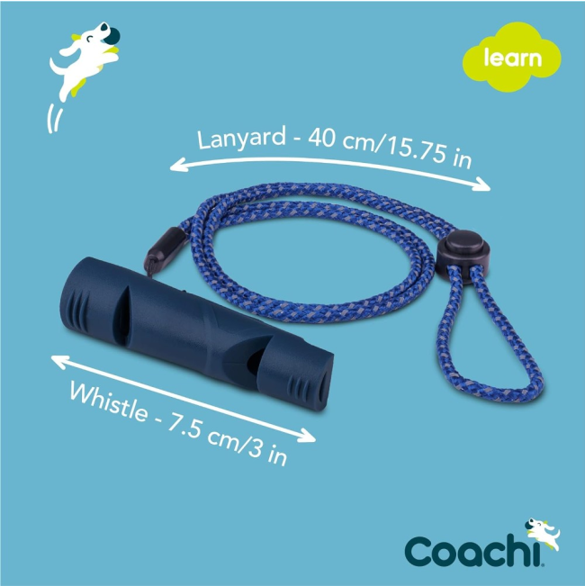size of whistle and lanyard