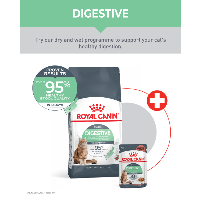 dry and wet food together