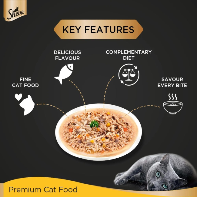 main features of sheba