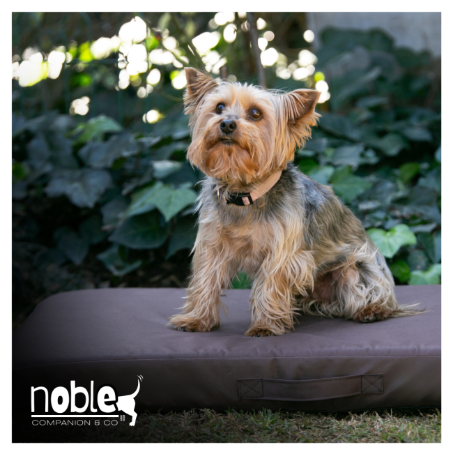 Wild Napper Outdoor Dog Bed