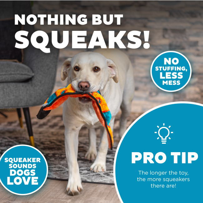 squeak toy with no stuffing