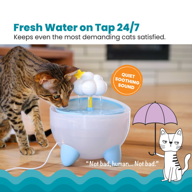 fresh flowing water with soothing sound from fountain