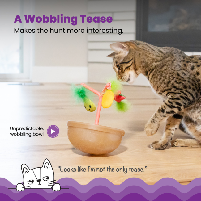 cat playing with the wobble effect of the toy