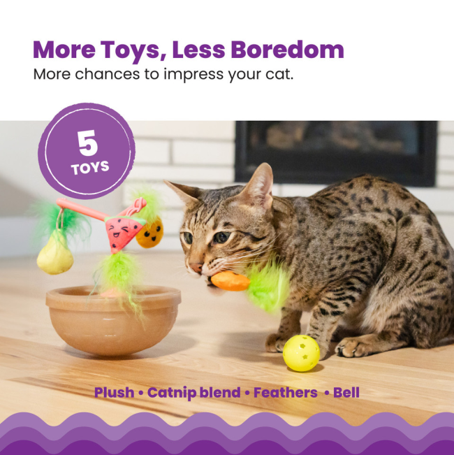 5 different toy features of the wobble toy