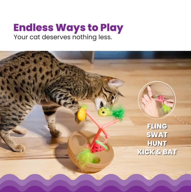 fling, swat, hunt, kick and bat to play