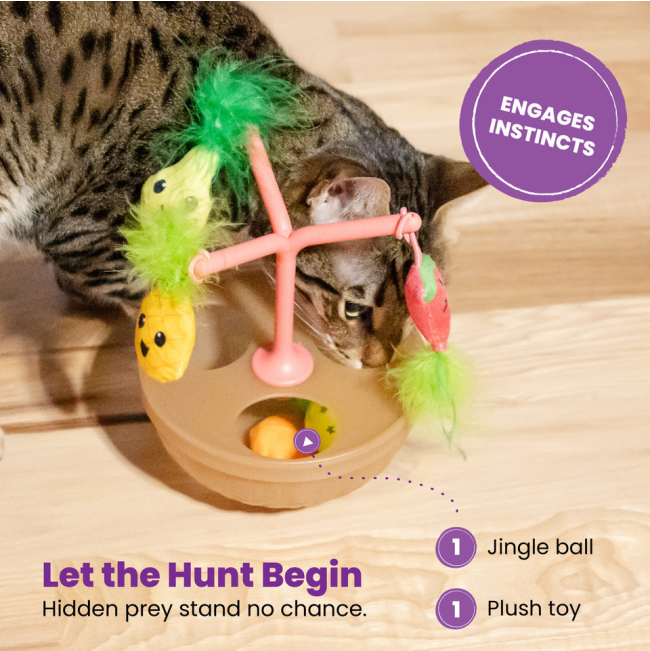 different features of the wobble toy, cat playing with the toys
