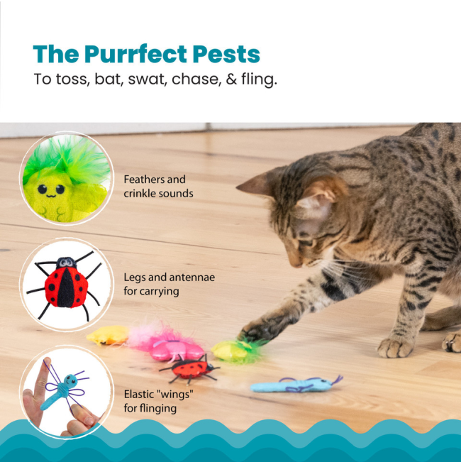 different ways to play and features of play like feathers, crinkles, toss, bat, swat, chase and fling