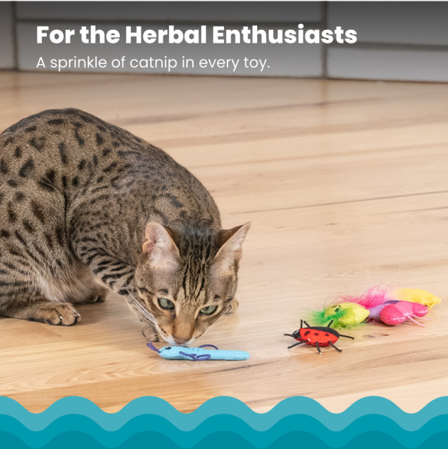 sprinkle of catnip in each toy