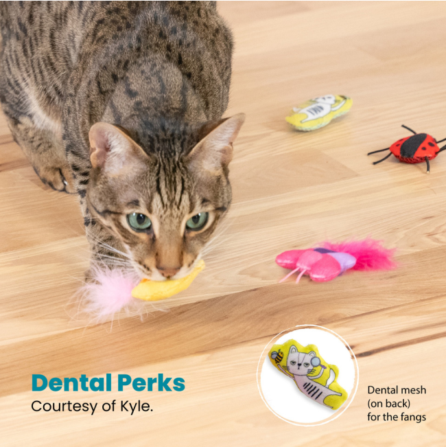 one toy has a dental mesh on the back
