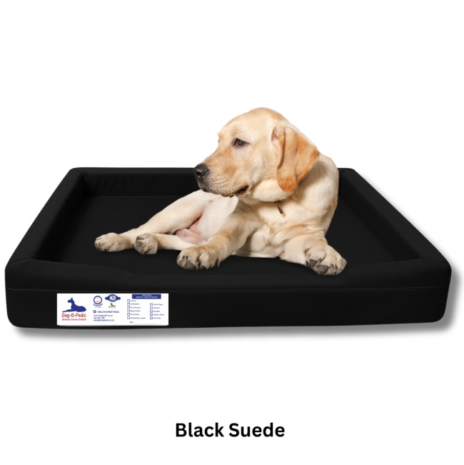 dog laying on throne bed