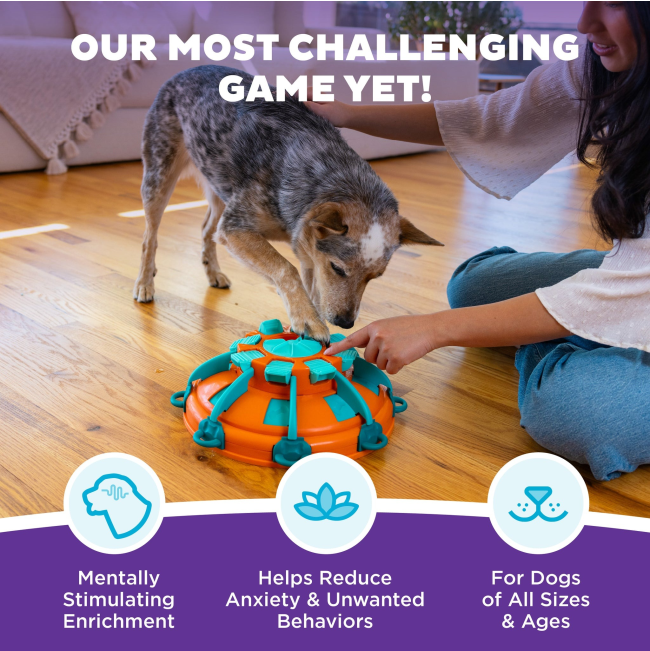 Nina Ottosson Tower of Treats Dog Puzzle Toy Benefits