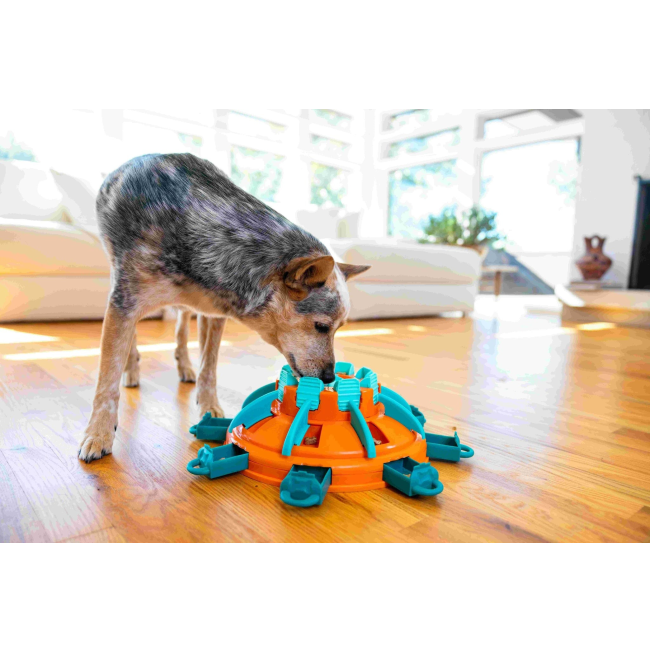 medium sized dog playing with treat toy