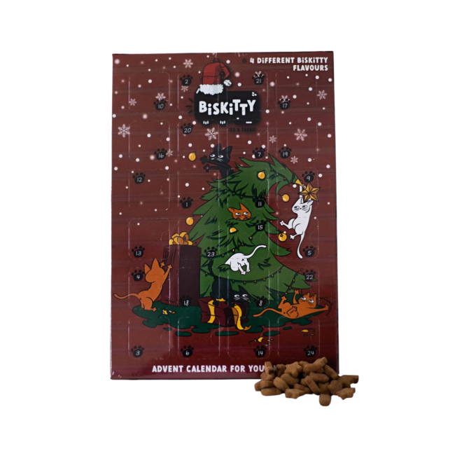 BISKITTY Advent Calendar