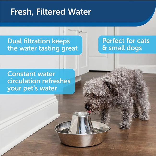 PetSafe® Seaside Stainless Pet Fountain Lifestyle