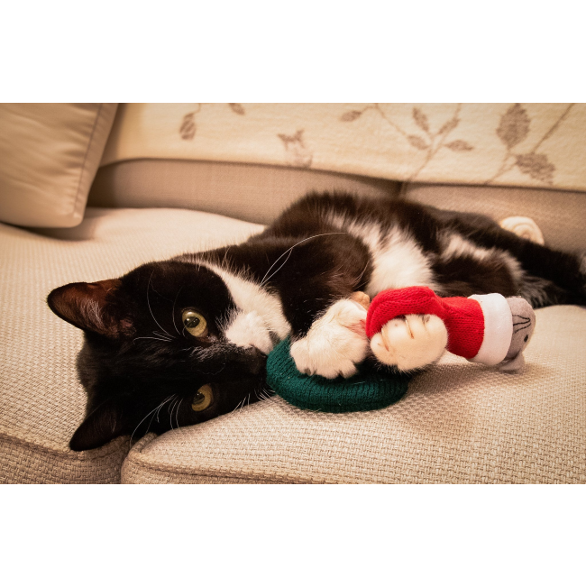 Martha & Mayor Mice Duo Xmas Cat Plush Toy