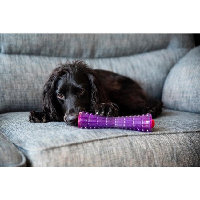 Johnny Stick Dog Treats Dispenser Lifestyle