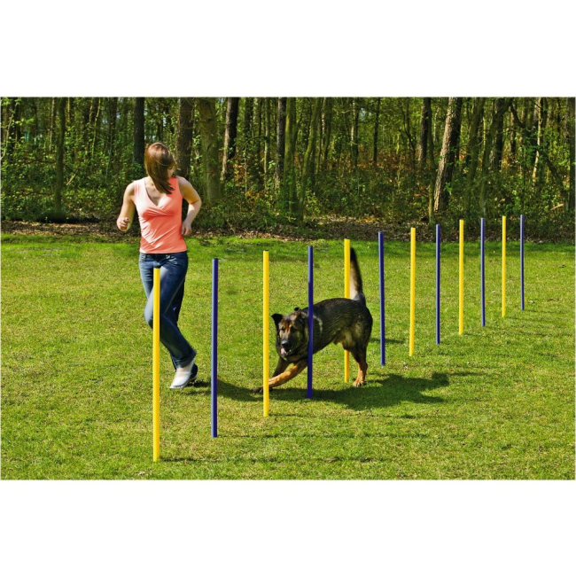 Agility Slalom Set for Dogs