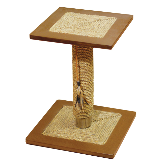 Oregano Cat Scratcher