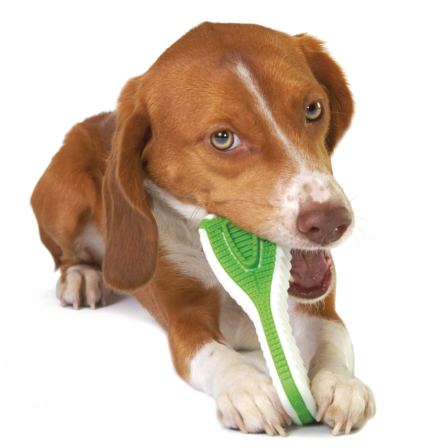 Finity Toothbrush Dog Chew Toy