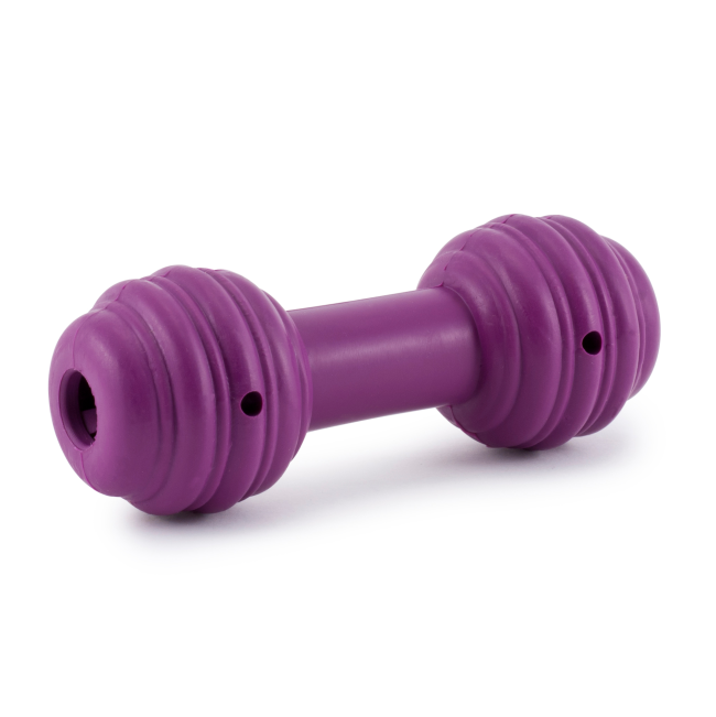 Busy Buddy Chuckle Dog Toy