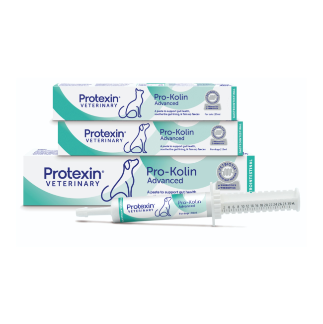 Pro-Kolin Advanced Paste for Dogs and Cats
