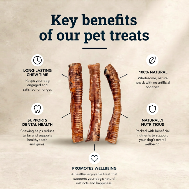 Three tracheas in centre with 5 bullets showing key benefits of the trachea treats