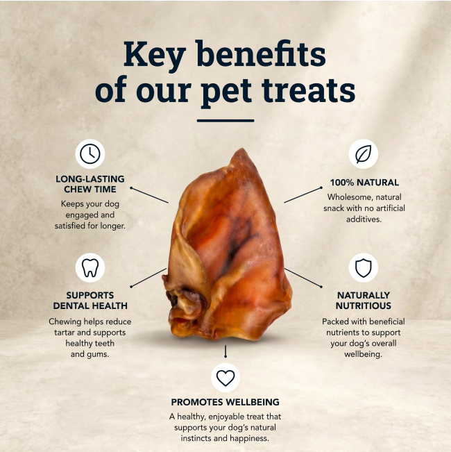 One pig ear in centre with 5 bullet points around with key benefits