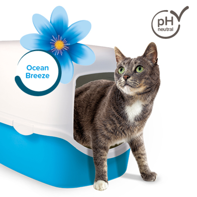 Cat in litter box, features shown in text around