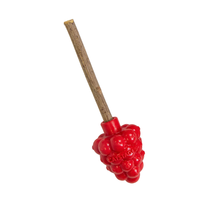 Dental Raspberry Silvervine Teether Sticks