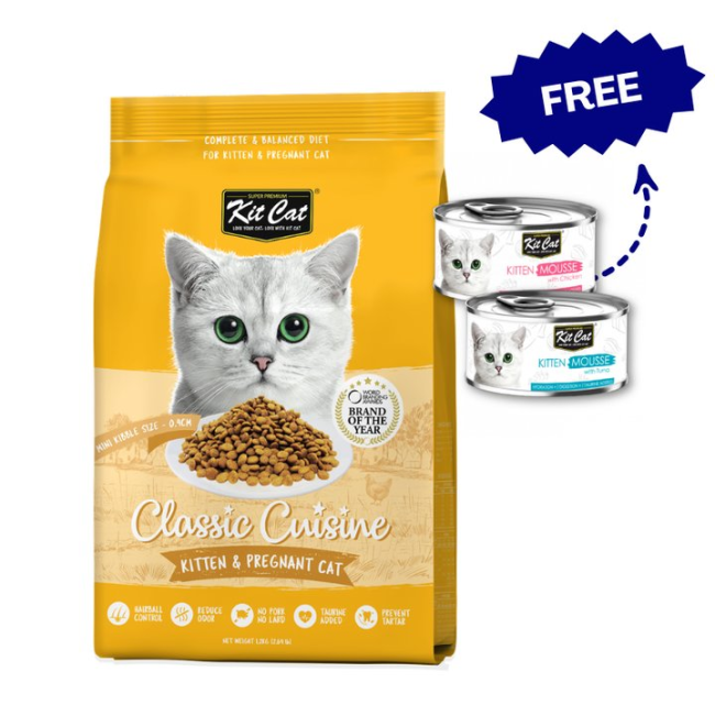 Kit Cat Dry Kitten Food Special